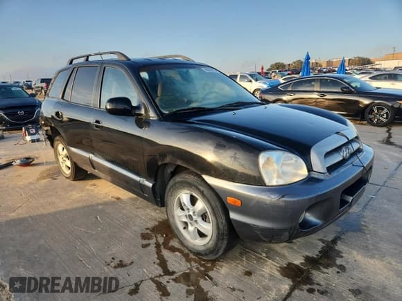 ✅ 2005 Hyundai Santa Fe GLS • VIN: KM8SC13E95U916944 • Lot: 90069825. Listed on Copart with 282,287 mi. Free auction sales archive from the USA and detailed vehicle history report at DreamBid. Image 4.