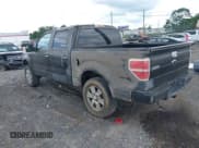 ✅ 2009 Ford F-150 XL • VIN: 1FTPW14V49KC59679 • Lot: 42524021. Listed on IAAI with 166,680 mi. Free auction sales archive from the USA and detailed vehicle history report at DreamBid. Image 3.