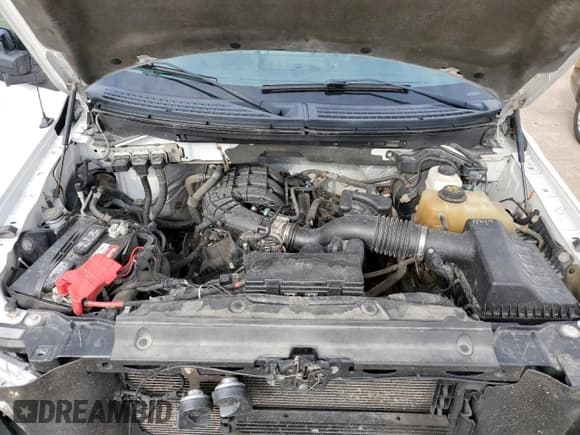 ✅ 2011 Ford F-150 XL • VIN: 1FTMF1EM1BFC21219 • Лот: 77888384. Опубликован ранее на Copart с пробегом 193 434 миль. Бесплатный доступ к архиву аукционных продаж из США и подробный отчёт об истории автомобиля на DreamBid. Изображение 11.