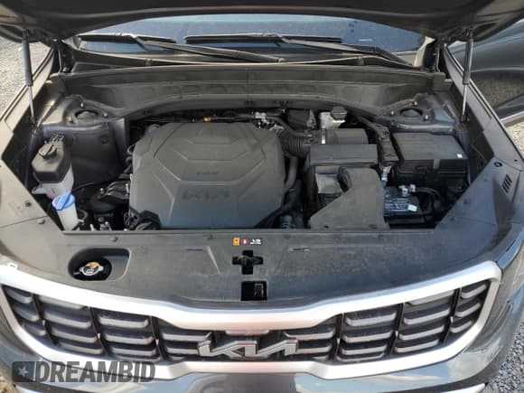 ✅ 2024 Kia Telluride SX • VIN: 5XYP54GC5RG521522 • Lot: 86819875. Listed on Copart with 29,585 mi. Free auction sales archive from the USA and detailed vehicle history report at DreamBid. Image 12.