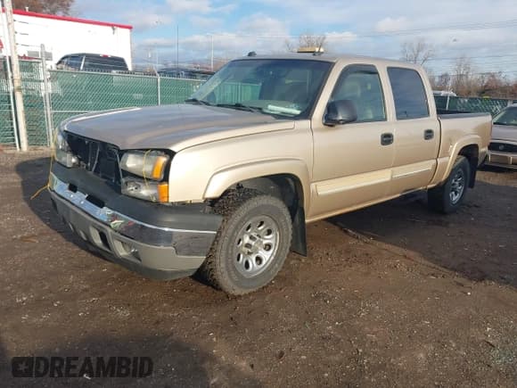 ✅ 2005 Chevrolet Silverado 1500 Z71 • VIN: 2GCEK13T651223750 • Lot: 43731646. Listed on IAAI with 273,250 mi. Free auction sales archive from the USA and detailed vehicle history report at DreamBid. Image 2.