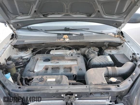 2005 Hyundai Tucson GL z VIN KM8JM12B65U078288, wystawiony jako Copart lot #85328574 z przebiegiem 91 117 mil mil oraz Czysty tytuł • Clean title. Historia ofert i sprzedaży dostępna na DreamBid. Obrazek 12.