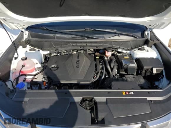 2022 Hyundai Santa Cruz SEL с VIN 5NTJB4AE6NH025545, выставлен на аукционе Copart как лот 47018205 с пробегом 34 629 миль миль и Списание • Salvage title. История ставок и продаж доступна на DreamBid. Изображение 11.