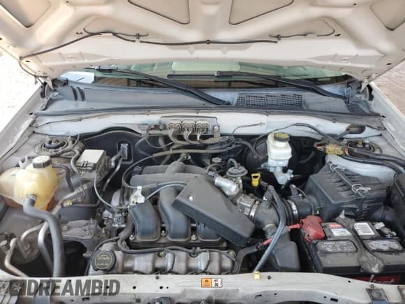 ✅ 2008 Ford Escape XLT • VIN: 1FMCU03178KD41445 • Lot: 60717105. Listed on Copart with 96,665 mi. Free auction sales archive from the USA and detailed vehicle history report at DreamBid. Image 11.