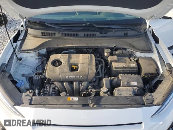 ✅ 2019 Hyundai Kona SE • VIN: KM8K12AA8KU318299 • Лот: 48115134. Опубликован ранее на Copart с пробегом 48 113 миль. Бесплатный доступ к архиву аукционных продаж из США и подробный отчёт об истории автомобиля на DreamBid. Изображение 11.