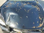 ✅ 2011 Infiniti M • VIN: JN1BY1AP5BM325874 • Lot: 81398365. Listed on Copart with 154,713 mi. Free auction sales archive from the USA and detailed vehicle history report at DreamBid. Image 11.