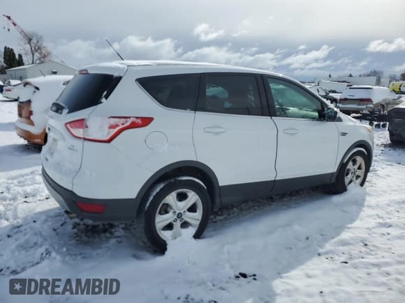 ✅ 2014 Ford Escape SE • VIN: 1FMCU0GX5EUB69804 • Lot: 91874575. Wystawiony na Copart z przebiegiem 128 447 mil. Bezpłatny archiwum sprzedaży aukcyjnych z USA i szczegółowy raport historii pojazdu na DreamBid. Zdjęcie 3.