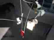 2003 Hyundai Accent GL z VIN KMHCG45C73U455357, wystawiony jako IAAI lot #41395159 z przebiegiem 86 488 mil mil oraz . Historia ofert i sprzedaży dostępna na DreamBid. Obrazek 11.