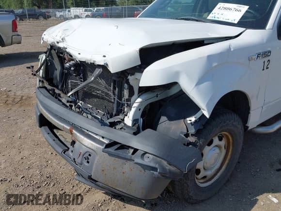 ✅ 2010 Ford F-150 XL • VIN: 1FTMF1CW6AKE05372 • Lot: 42806766. Listed on IAAI with 193,795 mi. Free auction sales archive from the USA and detailed vehicle history report at DreamBid. Image 6.