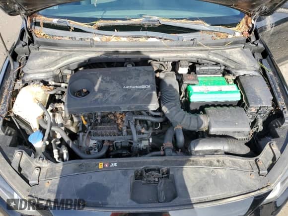 2018 Hyundai Elantra Eco z VIN 5NPD94LA5JH297841, wystawiony jako Copart lot #86604445 z przebiegiem 143 007 mil mil oraz Czysty tytuł • Clean title. Historia ofert i sprzedaży dostępna na DreamBid. Obrazek 11.