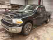 2009 Dodge 1500 SLT с VIN 1D3HV18T09S823240, выставлен на аукционе IAAI как лот 41827920 с пробегом 179 843 миль миль и . История ставок и продаж доступна на DreamBid. Изображение 2.