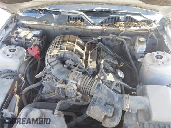 ✅ 2011 Ford Mustang V6 • VIN: 1ZVBP8AM9B5143973 • Lot: 43480774. Listed on IAAI with 187,991 mi. Free auction sales archive from the USA and detailed vehicle history report at DreamBid. Image 10.