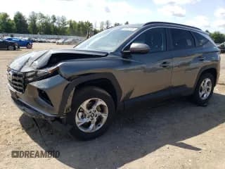 ✅ 2023 Hyundai Tucson SEL • VIN: 5NMJB3AE8PH186455 • Lot: 56606104. Wystawiony na Copart z przebiegiem 3 132 mil. Bezpłatny archiwum sprzedaży aukcyjnych z USA i szczegółowy raport historii pojazdu na DreamBid. Zdjęcie 1.