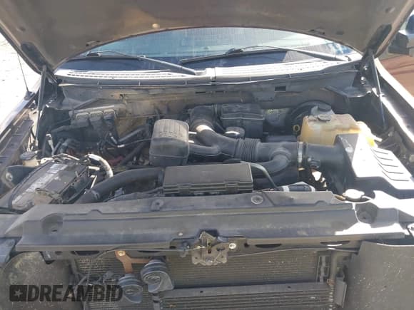 ✅ 2009 Ford F-150 XL • VIN: 1FTPW14V79FA04470 • Lot: 43429008. Listed on IAAI with 97,325 mi. Free auction sales archive from the USA and detailed vehicle history report at DreamBid. Image 10.