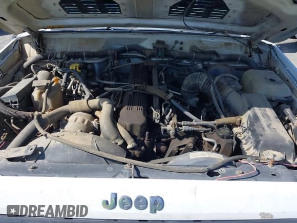✅ 1991 Jeep Cherokee • VIN: 1J4FJ88S6ML515949 • Lot: 41926218. Listed on IAAI with 222,976 mi. Free auction sales archive from the USA and detailed vehicle history report at DreamBid. Image 10.