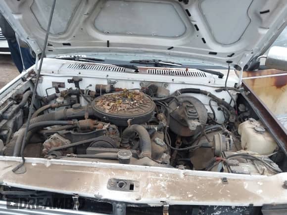 1988 Dodge Dakota with VIN 1B7GN14X7JS758050, listed as a IAAI auction lot 41501338 with 237,061 mi miles and . Bid and sale history available at DreamBid. Image 10.