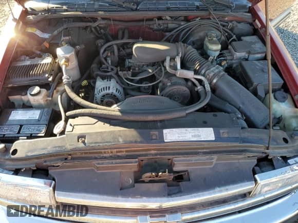 1999 Chevrolet Blazer LS z VIN 1GNDT13WXX2119758, wystawiony jako Copart lot #76240964 z przebiegiem 162 369 mil mil oraz Szkoda całkowita • Salvage title. Historia ofert i sprzedaży dostępna na DreamBid. Obrazek 14.