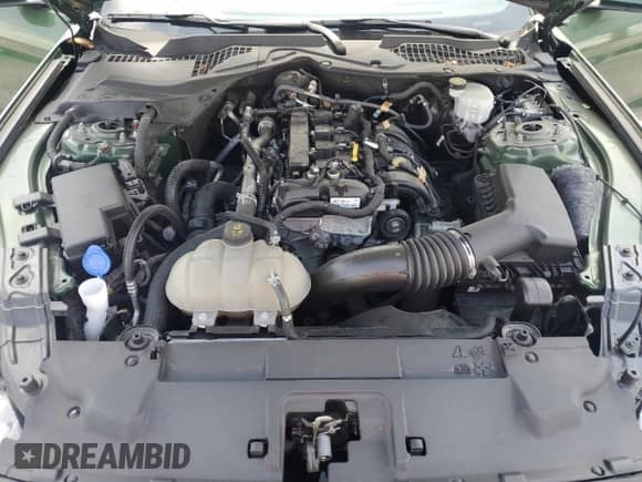 2023 Ford Mustang EcoBoost with VIN 1FA6P8TH2P5102070, listed as a Copart auction lot 80559365 with 35,630 mi miles and Salvage title. Bid and sale history available at DreamBid. Image 11.