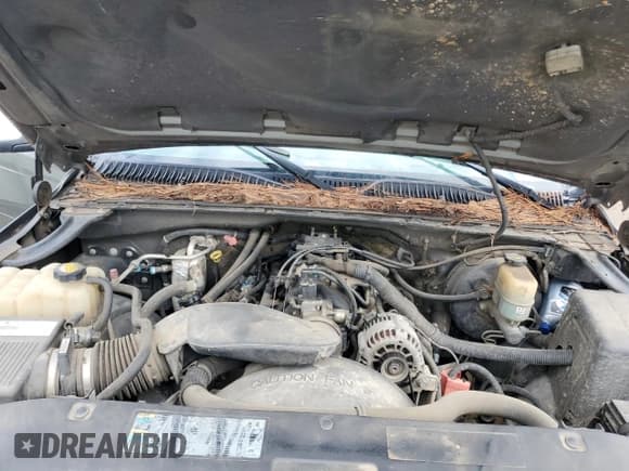 ✅ 2002 Chevrolet Silverado 1500 • VIN: 2GCEC19V921128066 • Lot: 53506275. Wystawiony na Copart z przebiegiem 212 699 mil. Bezpłatny archiwum sprzedaży aukcyjnych z USA i szczegółowy raport historii pojazdu na DreamBid. Zdjęcie 11.