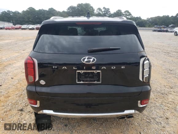✅ 2020 Hyundai Palisade Limited • VIN: KM8R54HE0LU145192 • Lot: 84267175. Listed on Copart with 123,235 mi. Free auction sales archive from the USA and detailed vehicle history report at DreamBid. Image 6.