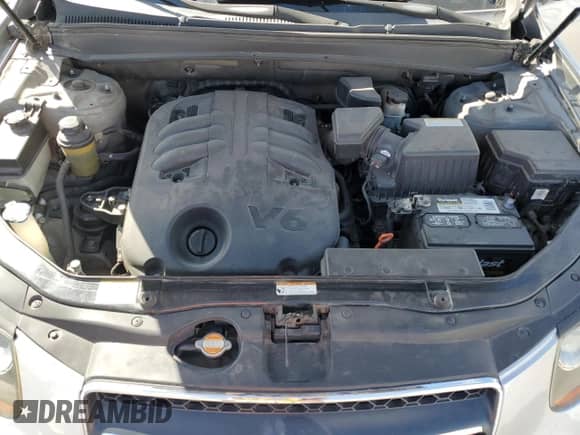 2008 Hyundai Santa Fe SE z VIN 5NMSH73E38H227275, wystawiony jako Copart lot #72625574 z przebiegiem 132 742 mil mil oraz Szkoda całkowita • Salvage title. Historia ofert i sprzedaży dostępna na DreamBid. Obrazek 12.