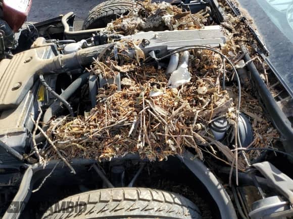 1987 Chevrolet Corvette with VIN 1G1YY2181H5117721, listed as a Copart auction lot 45817625 with Not provided miles and Clean title. Bid and sale history available at DreamBid. Image 11.