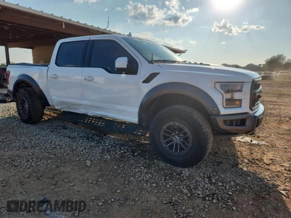 ✅ 2020 Ford F-150 Raptor • VIN: 1FTFW1RG0LFC02594 • Lot: 80308785. Listed on Copart with 83,669 mi. Free auction sales archive from the USA and detailed vehicle history report at DreamBid. Image 4.