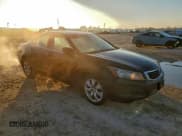 ✅ 2008 Honda Accord EX-L • VIN: JHMCP26828C020194 • Lot: 95969265. Wystawiony na Copart z przebiegiem 269 277 mil. Bezpłatny archiwum sprzedaży aukcyjnych z USA i szczegółowy raport historii pojazdu na DreamBid. Zdjęcie 4.