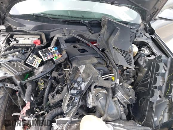 ✅ 2021 Ford Mustang GT • VIN: 1FA6P8CF4M5146999 • Lot: 41913521. Listed on IAAI with Not provided. Free auction sales archive from the USA and detailed vehicle history report at DreamBid. Image 10.