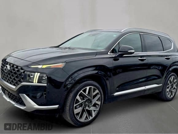 ✅ 2022 Hyundai Santa Fe Calligraphy • VIN: 5NMS54AL5NH439874 • Lot: 95009255. Listed on Copart with 73,847 mi. Free auction sales archive from the USA and detailed vehicle history report at DreamBid. Image 2.