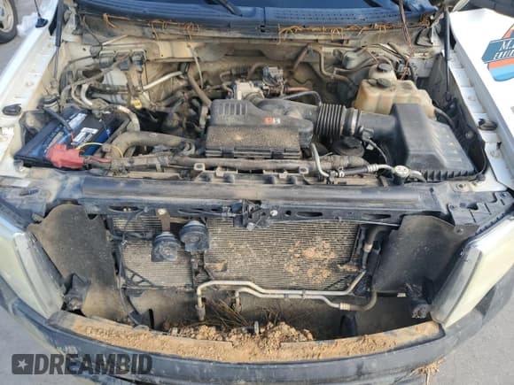 ✅ 2010 Ford F-150 XL • VIN: 1FTMF1EW2AFC79050 • Lot: 62529815. Listed on Copart with Not provided. Free auction sales archive from the USA and detailed vehicle history report at DreamBid. Image 11.