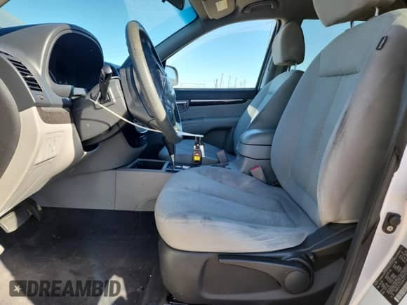 2009 Hyundai Santa Fe GLS z VIN 5NMSG13D99H273766, wystawiony jako Copart lot #80389245 z przebiegiem 143 755 mil mil oraz Szkoda całkowita • Salvage title. Historia ofert i sprzedaży dostępna na DreamBid. Obrazek 7.