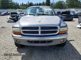 ✅ 2002 Dodge Dakota SLT • VIN: 1B7HG48N02S548464 • Lot: 58943135. Wystawiony na Copart z przebiegiem 239 081 mil. Bezpłatny archiwum sprzedaży aukcyjnych z USA i szczegółowy raport historii pojazdu na DreamBid. Zdjęcie 5.