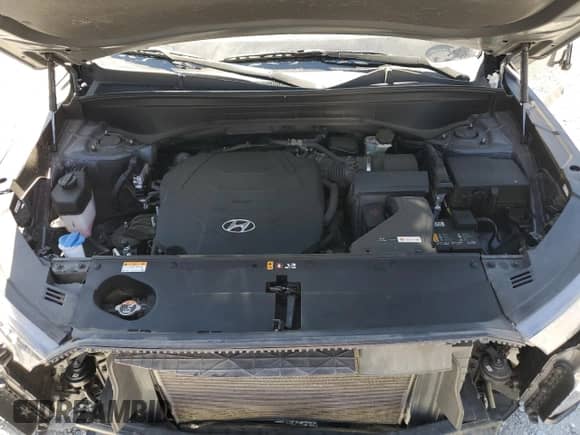 2022 Hyundai Palisade SEL с VIN KM8R44HE8NU351561, выставлен на аукционе Copart как лот 67564814 с пробегом 42 337 миль миль и Списание • Salvage title. История ставок и продаж доступна на DreamBid. Изображение 12.