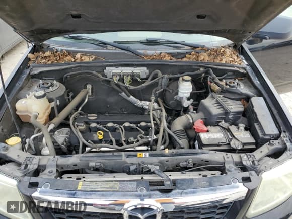 ✅ 2009 Mazda Tribute Touring • VIN: 4F2CZ02739KM03047 • Lot: 43086245. Wystawiony na Copart z przebiegiem 164 566 mil. Bezpłatny archiwum sprzedaży aukcyjnych z USA i szczegółowy raport historii pojazdu na DreamBid. Zdjęcie 12.