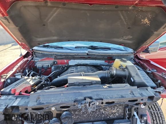 ✅ 2014 Ford F-150 XLT • VIN: 1FTFW1CT4EKF24297 • Lot: 68215165. Wystawiony na Copart z przebiegiem 69 289 mil. Bezpłatny archiwum sprzedaży aukcyjnych z USA i szczegółowy raport historii pojazdu na DreamBid. Zdjęcie 11.