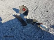 ✅ 2016 Hyundai Veloster Turbo R-Spec • VIN: KMHTC6AE9GU293753 • Lot: 72411954. Wystawiony na Copart z przebiegiem 79 039 mil. Bezpłatny archiwum sprzedaży aukcyjnych z USA i szczegółowy raport historii pojazdu na DreamBid. Zdjęcie 14.