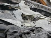 ✅ 2014 Kia Sportage EX • VIN: KNDPC3AC2E7632285 • Lot: 69651065. Wystawiony na Copart z przebiegiem Nie podano. Bezpłatny archiwum sprzedaży aukcyjnych z USA i szczegółowy raport historii pojazdu na DreamBid. Zdjęcie 9.