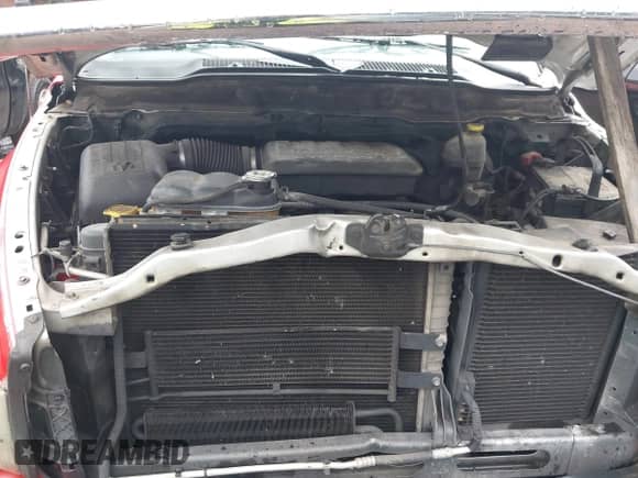 2003 Dodge 1500 ST z VIN 1D7HA18N03S112530, wystawiony jako IAAI lot #42484127 z przebiegiem 186 784 mil mil oraz . Historia ofert i sprzedaży dostępna na DreamBid. Obrazek 10.