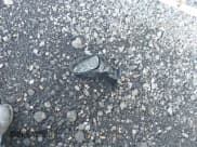 ✅ 2020 Chevrolet Bolt EV LT • VIN: 1G1FW6S00L4108858 • Lot: 43146320. Listed on IAAI with 14,973 mi. Free auction sales archive from the USA and detailed vehicle history report at DreamBid. Image 12.