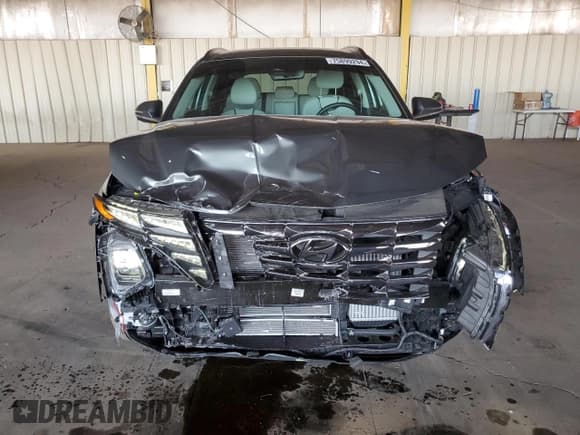 ✅ 2024 Hyundai Tucson Limited • VIN: KM8JECD11RU177393 • Lot: 75899294. Wystawiony na Copart z przebiegiem 4 901 mil. Bezpłatny archiwum sprzedaży aukcyjnych z USA i szczegółowy raport historii pojazdu na DreamBid. Zdjęcie 5.