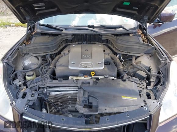 ✅ 2010 Infiniti EX • VIN: JN1AJ0HP5AM703335 • Lot: 42722252. Listed on IAAI with 145,763 mi. Free auction sales archive from the USA and detailed vehicle history report at DreamBid. Image 10.