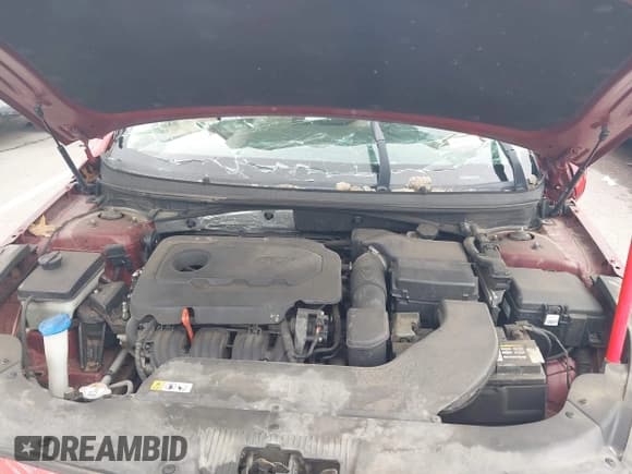 ✅ 2016 Hyundai Sonata Sport • VIN: 5NPE34AF2GH265586 • Лот: 43278064. Опубликован ранее на IAAI с пробегом Не указан. Бесплатный доступ к архиву аукционных продаж из США и подробный отчёт об истории автомобиля на DreamBid. Изображение 10.