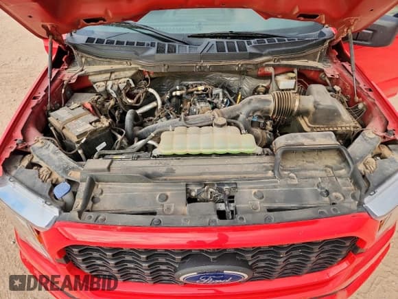 ✅ 2021 Ford F-150 XL • VIN: 1FTEW1CP6MKE92479 • Lot: 82311625. Listed on Copart with 49,370 mi. Free auction sales archive from the USA and detailed vehicle history report at DreamBid. Image 11.