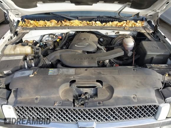 ✅ 2005 Chevrolet Silverado 1500 LS • VIN: 2GCEK13T251112189 • Lot: 43703217. Listed on IAAI with Not provided. Free auction sales archive from the USA and detailed vehicle history report at DreamBid. Image 10.