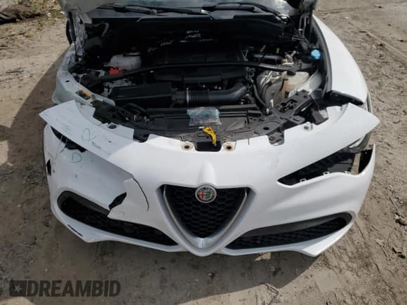 ✅ 2020 Alfa Romeo Stelvio Ti • VIN: ZASPAKBN5L7C97978 • Лот: 70545905. Опубликован ранее на Copart с пробегом 73 178 миль. Бесплатный доступ к архиву аукционных продаж из США и подробный отчёт об истории автомобиля на DreamBid. Изображение 12.