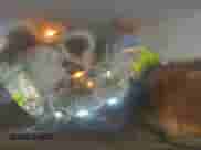 2019 Chevrolet Colorado 4WD Z71 с VIN 1GCHTDEN3K1178214, выставлен на аукционе IAAI как лот 41640246 с пробегом 48 212 миль миль и . История ставок и продаж доступна на DreamBid. Изображение 17.