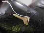 2008 Dodge Dakota SXT z VIN 1D7HW38K18S528662, wystawiony jako IAAI lot #42315787 z przebiegiem 258 549 mil mil oraz . Historia ofert i sprzedaży dostępna na DreamBid. Obrazek 11.