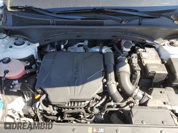 2023 Hyundai Santa Fe Calligraphy with VIN 5NMS5DAL6PH520255, listed as a Copart auction lot 82090035 with 44,423 mi miles and Salvage title. Bid and sale history available at DreamBid. Image 12.