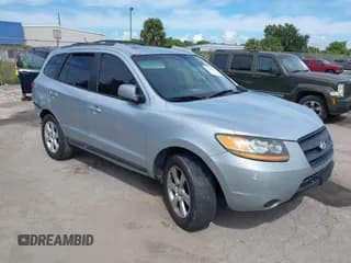 ✅ 2008 Hyundai Santa Fe SE • VIN: 5NMSH13E28H205863 • Lot: 43256101. Listed on IAAI with 222,083 mi. Free auction sales archive from the USA and detailed vehicle history report at DreamBid. Image 1.
